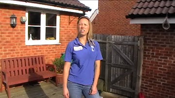 Teaching a dog the down command