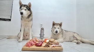 ASMR Husky Reviews Food With Best Friend!