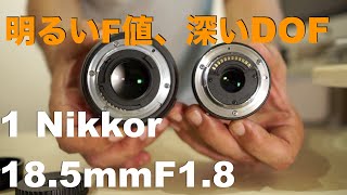 1 Nikkor 18.5mm F1.8・大型センサーに引けを取らない解像力・換算50mmでも得られる深い深度が魅力の単焦点。