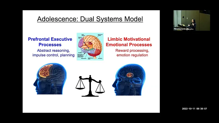 Adolescent Neurocognitive Specialization: Vulnerabilities and Opportunities