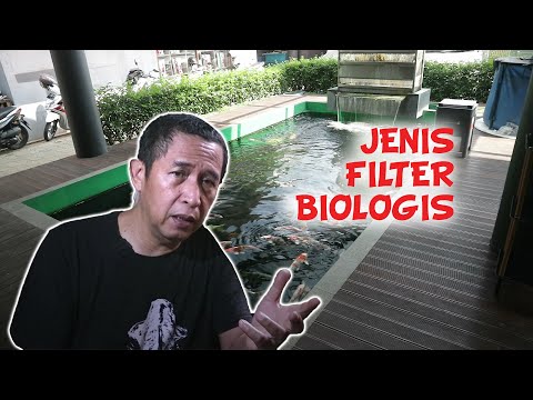 Video: Apa Itu Zat Aktif Biologis?