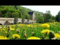 Miniature de la vidéo de la chanson Heimatland