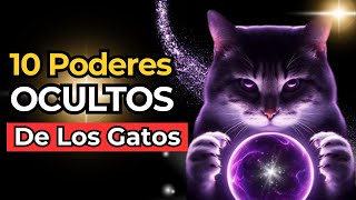 ‍♀ Los 10 INCREÍBLES Poderes OCULTOS de los GATOS que Desconocías