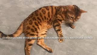 Econocat: Bengal gives his opinion on the Economy...