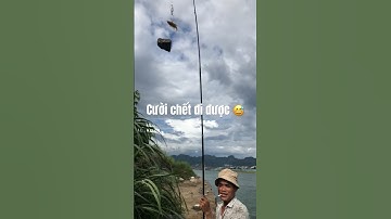 Giây phút câu cá hài hước nhất của thánh câu sông đà #shorts