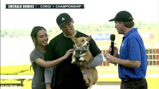 2019 Corgi Races