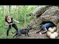 Survival Forest Life: Discovering Giant Eggs in Snake Cave | I Have No Idea What Creature Laid Them