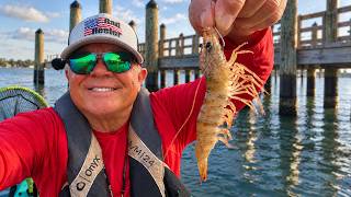 BIG RESULTS Fishing FL Docks With Live Shrimp! (UNCUT)
