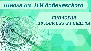 Биология 10 класс 23-24 неделя Типы размножения живых организмов Биология 10 класс 23-24 неделя Типы размножения живых организмов