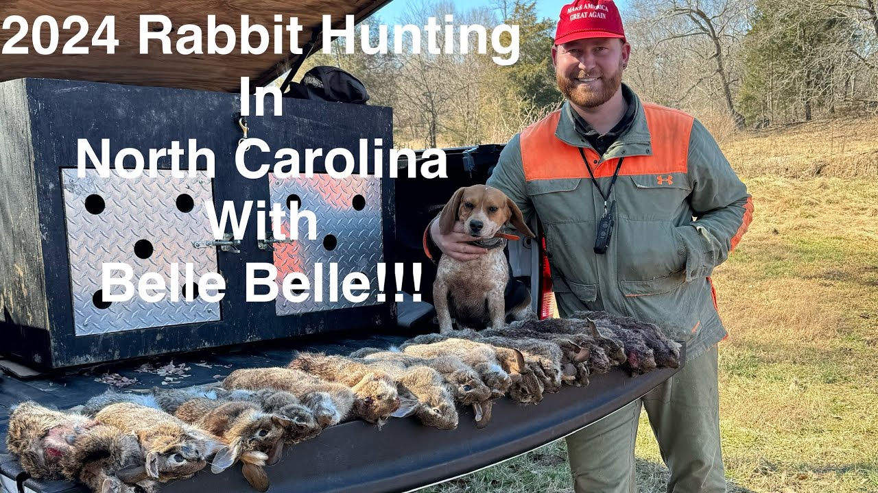 Rabbit Hunting in North Carolina with Belle Belle 2024!!! - YouTube