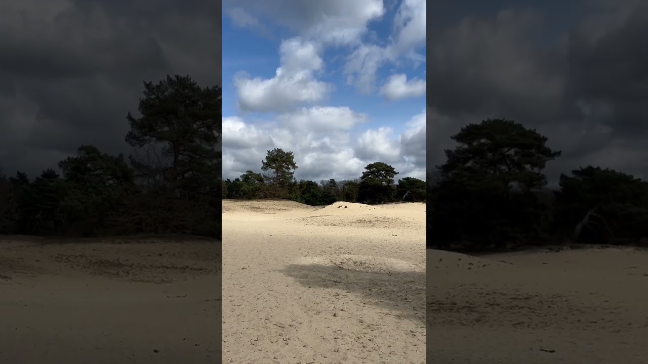 🥾 Nature's Oasis: the Beauty of Korte Duinen in Soest 🇳🇱