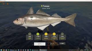 : Russian Fishing 4 /  4   : 34 -    120 - 