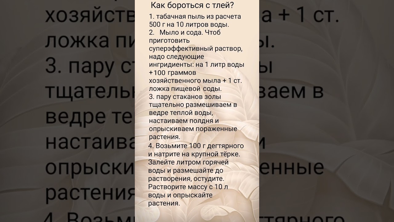 Борьба с тлей.