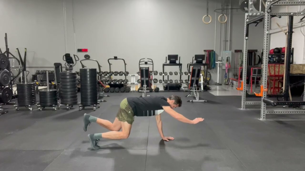 Bear Pose Opposite Arm and Leg Lift (most advanced)