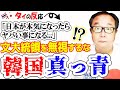韓国が日本の本当の怖さを知って「感情的になるな！軽蔑するな！」...タイ人「日本がいよいよ動き出したらヤバい事になる」