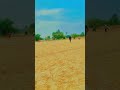 #viral #song