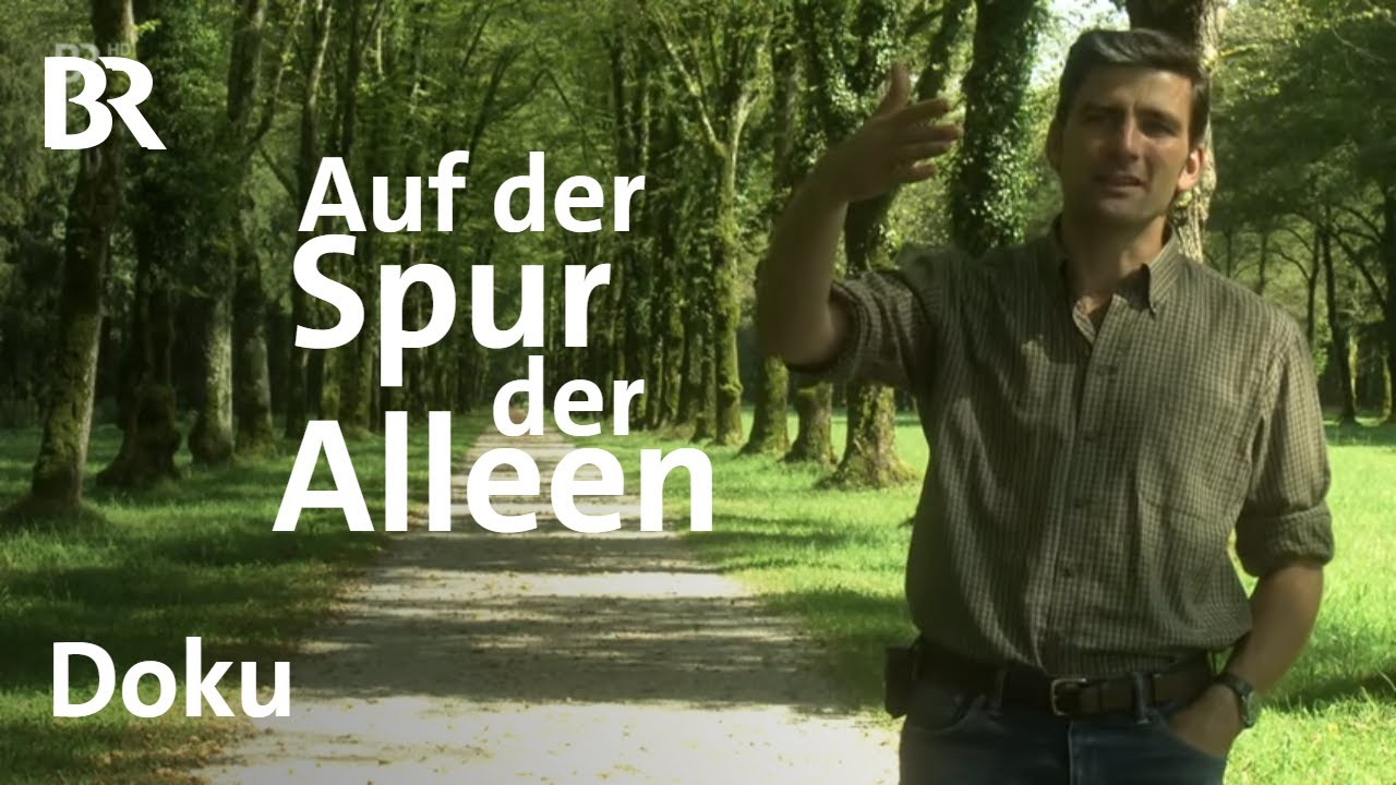 Auf der Spur der Alleen | Bayern erleben | Doku | BR