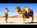 موسيقى طريق الصحراء الرائعة صحراوية حسانية Compilation Mix Beautiful Music Sahrawi Hassani