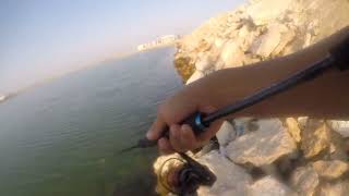 fishing bakoko using ultralight setup #daiwa infeet 782 || #penn fierce III 1000s