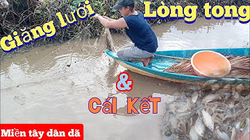 giăng lưới cá lòng tong và cái kết | xem bắt cá miền tây | miền tây dân dã | # 51