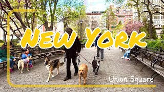Strolling Through Manhattan's Heart: A 4K Journey from Union Square to Madison Square Park
