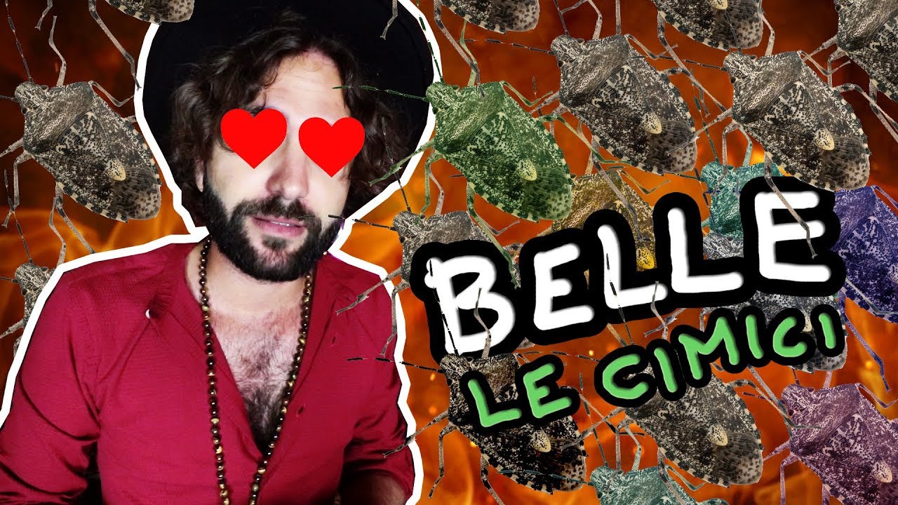 le CIMICI sono BELLE - SCIENZA BRUTTA