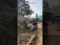 #videoshort #shortvideos #nature #viral