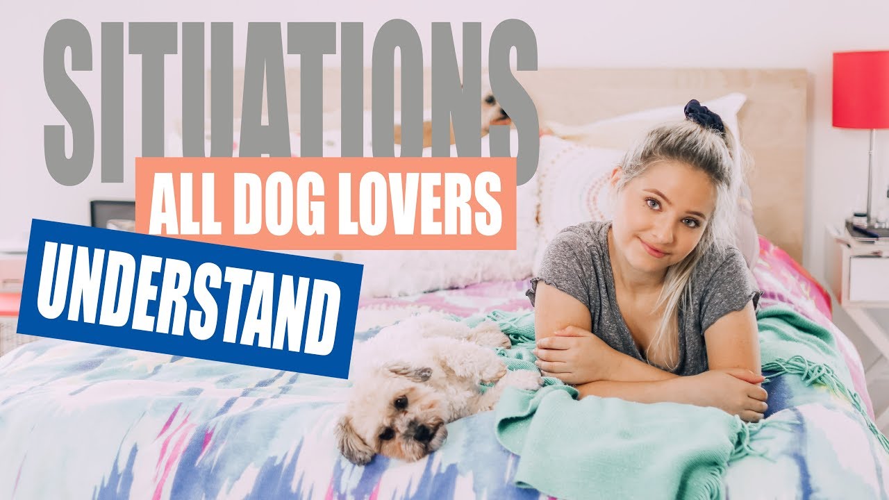 Situations All Dog Lovers Will Understand YouTube
