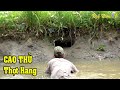 Cao Thủ Mò Hang Bắt Cá Miền Tây Con Nào Chạy Thoát - Fishing NGÃ NĂM TV