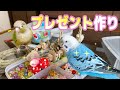 【インコのおもちゃ作り】ビーズにはしゃぐインコたちｗ