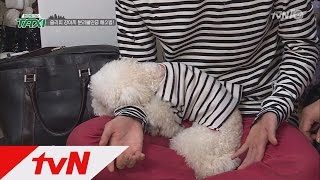 TAXI 슬리피의 고민 ′우리 애는 분리불안장애가 있어요′ 161025 EP.449