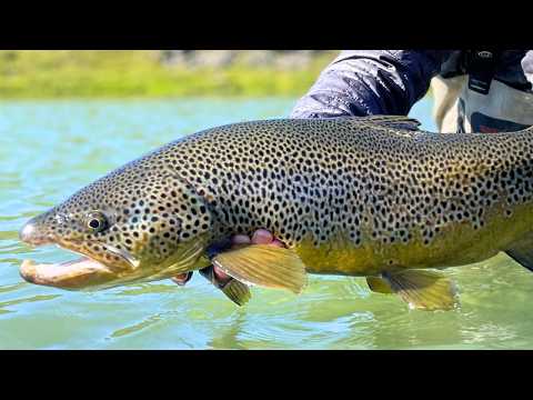 5 days Exploring Iceland's fly fishing rivers (we were surprised)