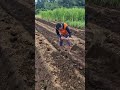 Skills for loosening soil with simple tools-Agriculture farming #shorts
