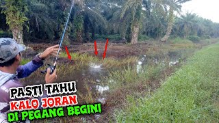 I WAS AT FIRST HESITIVATED ABOUT USING A 5cm BAIT!! TURNS OUT THIS IS THE RESULT // CASTING GABUS