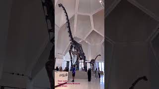 Main Lobby of Natural History Museum Abu Dhabi