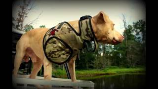 Southern Cross SPEC-OPS Strike Hog Dog Vest