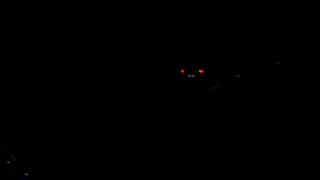 WP 20140316 005