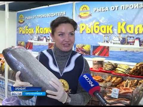 Рыбак камчатки. Рыбак Камчатки в Оренбурге. Рыбак Камчатки в Оренбурге декабрь 2020. Мира 3/5 Оренбург Рыбак Камчатки. Выставка Рыбак Камчатки Оренбург декабрь 2020.