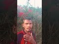 maya maya koraputia new song2026#vlog #shorys #viral #trending