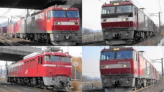 2023,2,8 かもつれっしゃ いろいろいっぱい22本 EH500金太郎の大迫力