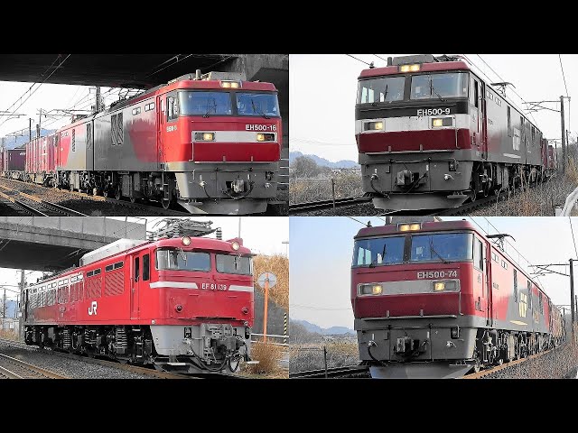 2023,2,8 かもつれっしゃ いろいろいっぱい22本 EH500金太郎の大迫力