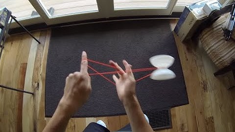 Seals Eye View - Offstring