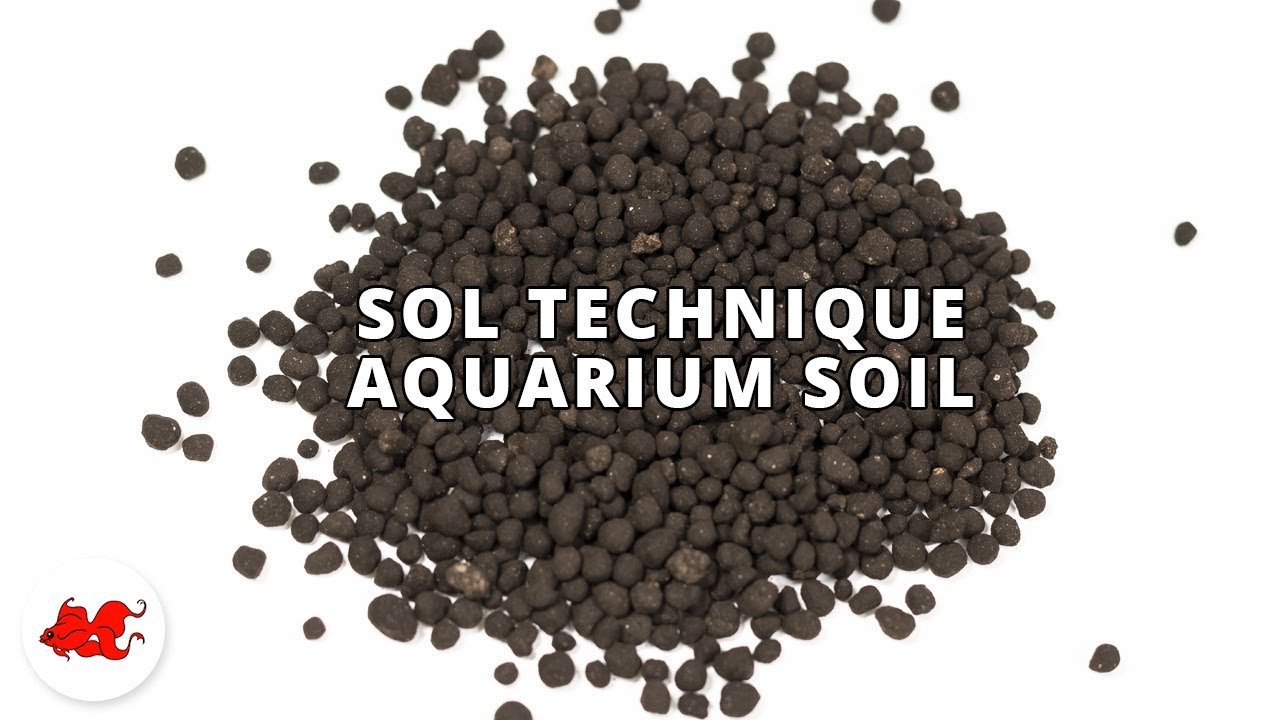 Sol technique aquarium