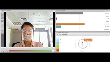 Facial expression tracking
