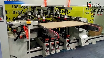 JEHSDRILL 10 rows auto feeding boring machine for woodworking