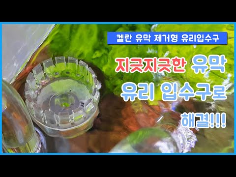 외부여과기 입수구 추천 - 유막제거기를 품은 투명한 유리 입수구 / 켈란 유막제거 유리 입수구