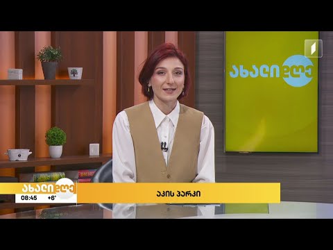 #ახალიდღე #აკისპარკი  ახალი კანონპროექტი შინაურ ცხოველებზე - მიმოხილვა