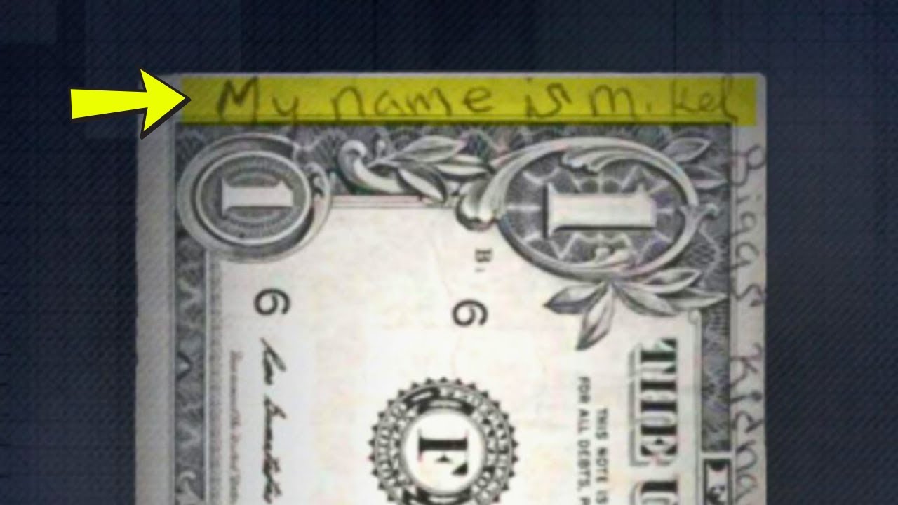 Viralvideo - YouTube Auto PHP Script