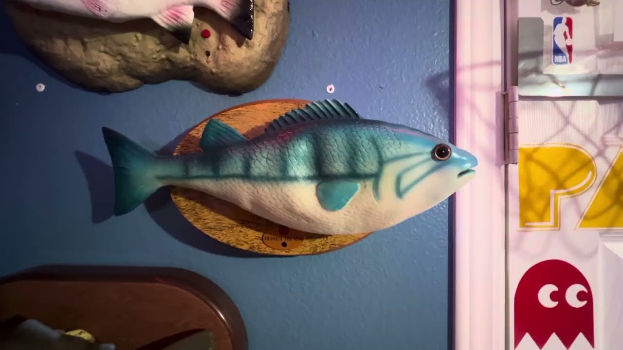 Gemmy fish collection update