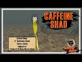 CAFFEINE SHAD -ZONA SHOW DIRT Episode #11